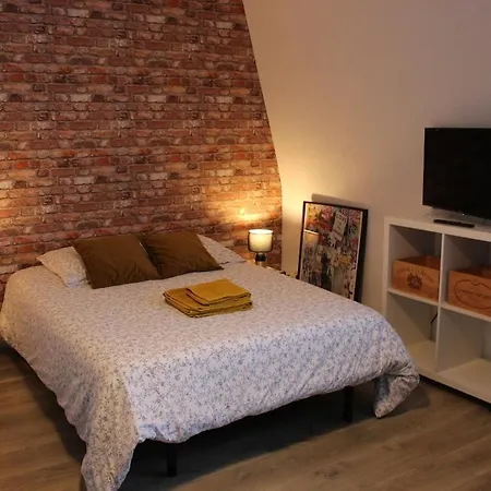 211 Au Coeur Du Campus De Belle Beille Apartman