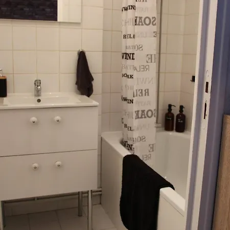 211 Au Coeur Du Campus De Belle Beille * אנז'ה