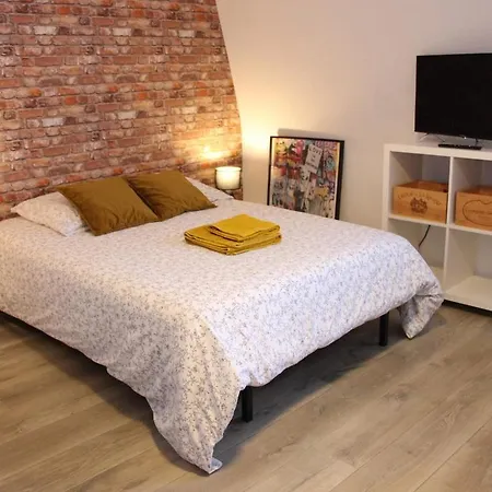 211 Au Coeur Du Campus De Belle Beille Apartman *