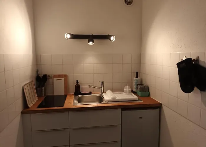 211 Au Coeur Du Campus De Belle Beille 公寓