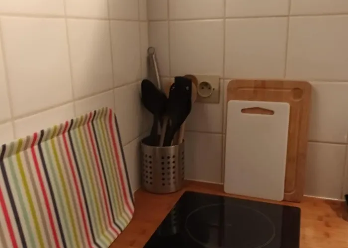 公寓 211 Au Coeur Du Campus De Belle Beille 昂热