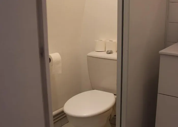 211 Au Coeur Du Campus De Belle Beille אנז'ה