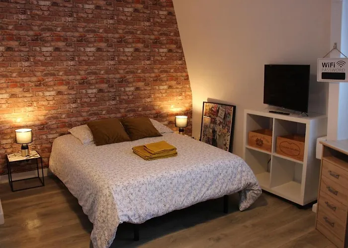 211 Au Coeur Du Campus De Belle Beille Apartment